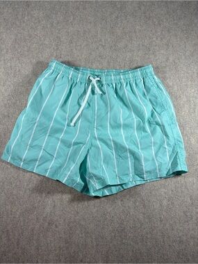 Zara Man Aqua Blue White Vertical Striped Swim Trunks Size L 4.5" Inseam EUC